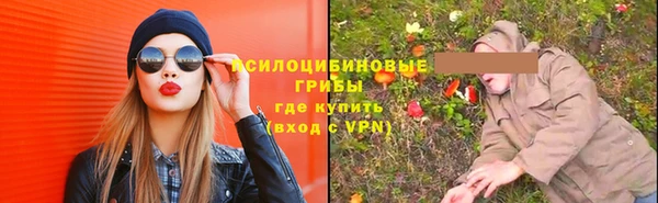 сатива Вязники