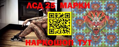 спиды Партизанск