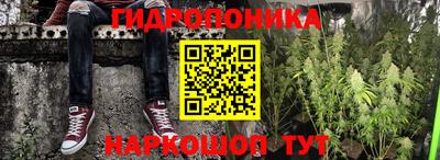 стафф Аргун