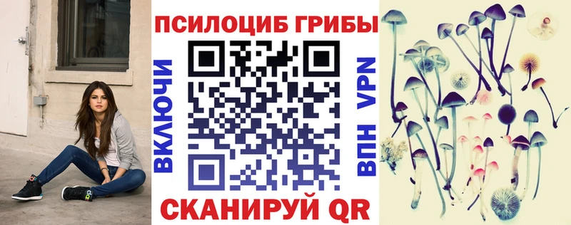 kraken ССЫЛКА  Маркс  Псилоцибиновые грибы MAGIC MUSHROOMS 