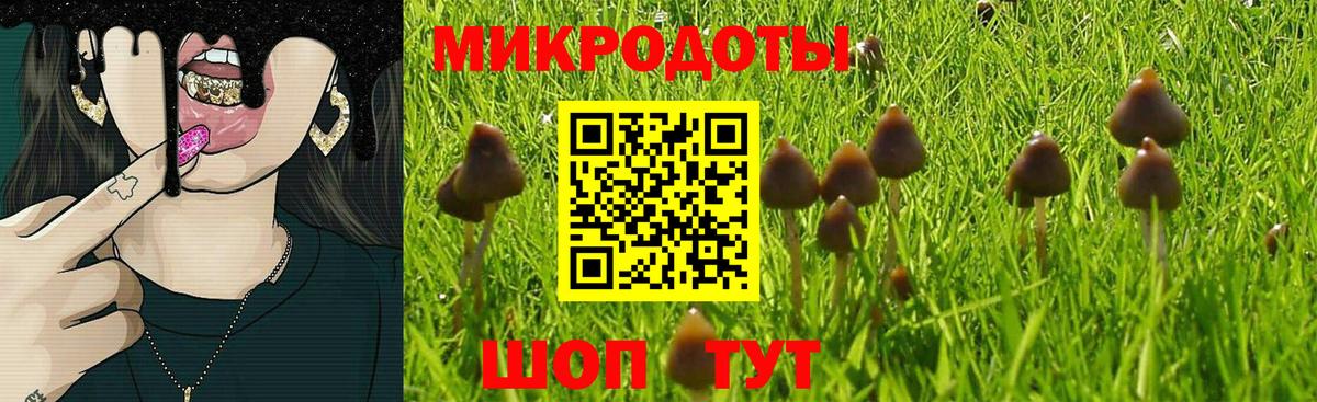 Галлюциногенные грибы GOLDEN TEACHER  Галлюциногенные грибы Magic Shrooms  Маркс 