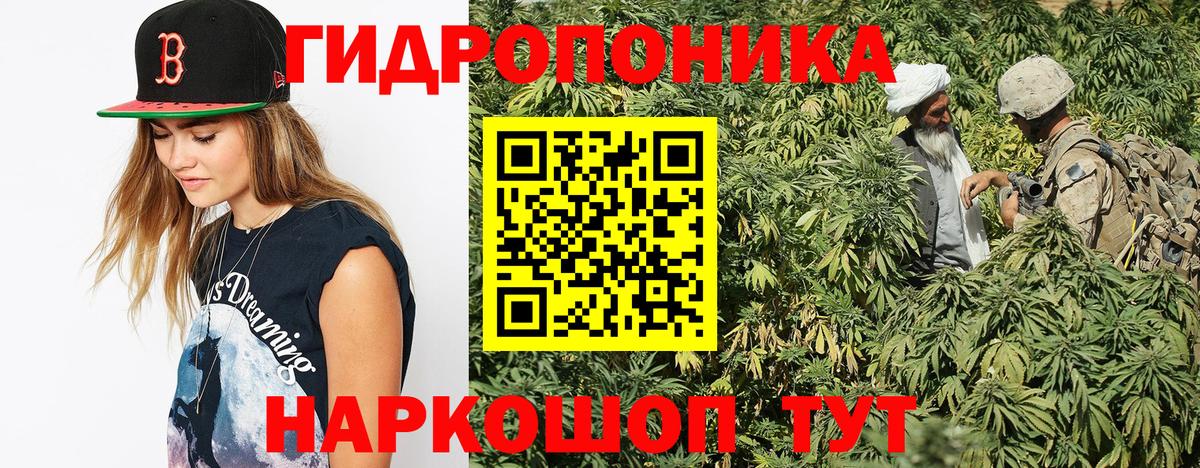 Шишки марихуана марихуана Маркс